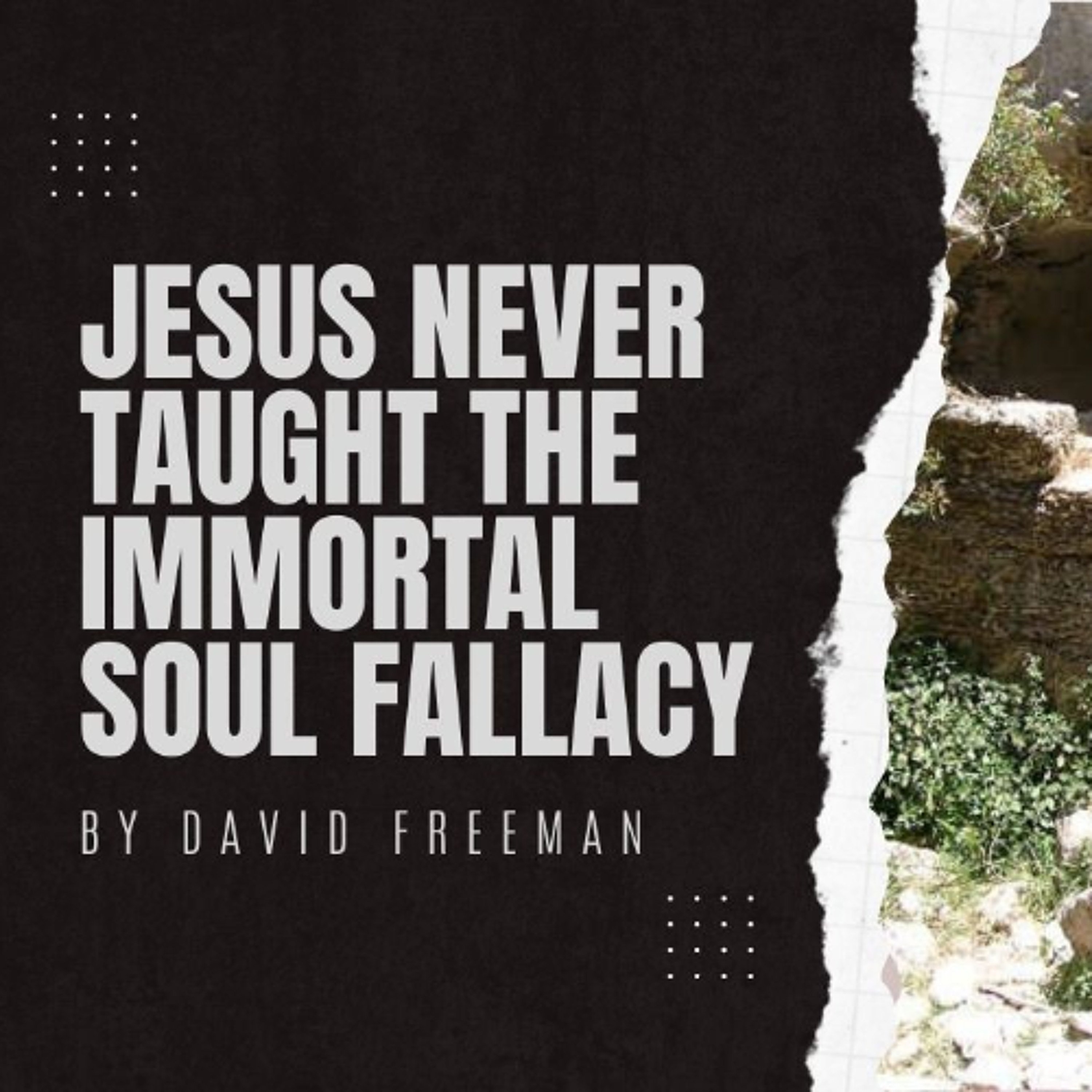 Is That Rally In The Bible? 8-Jesus never taught the immortal soul fallacy.  By David Freeman episode artwork