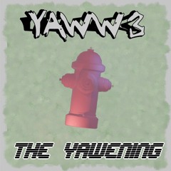 Yawww 3: The Yawening