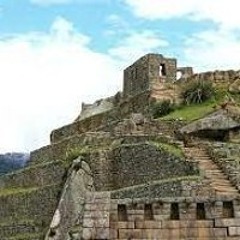 PETZOO - Gobekli Tepe