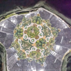 It's a Lonely Universe Without You - Instrumental