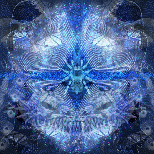 Okta - Non Euclidean Universe (Preview)