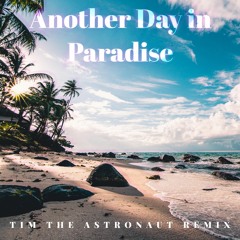 Another Day in Paradise (Tim the Astronaut Remix)