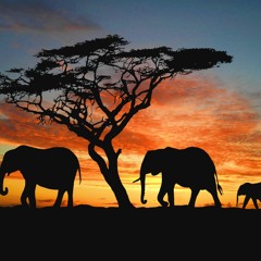 Kimz - He lives in you (Remix)