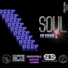 CDLC035 - DEEP IN YOUR SOUL - FULL HOUSE ANGEL'S MEMORY