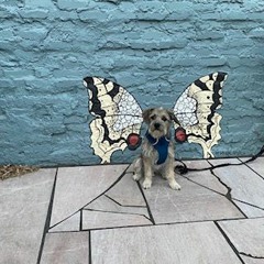 Need Somebody (04-23-22)