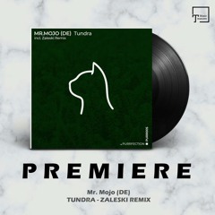 PREMIERE: Mr. Mojo (DE) - Tundra (Zaleski Remix) [PURRFECTION]
