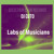 Artwork for Labs of Musicians