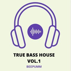 True Bass House Mix 1