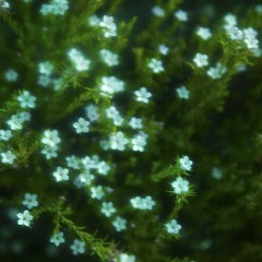 Tìm một mình nàng - Lưu Vũ Ninh | 寻一个你 - 刘宇宁