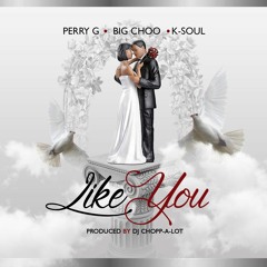 Like You Feat. Big Choo