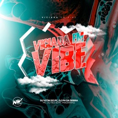 VICIADA NA VIBE - DJ VITIN DO PC & DJ PH DA SERRA - MC DU RED & MC MAGRINHO - 2030