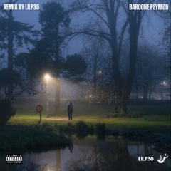 Baroone Peymod - Hiphopologist (Remix By LilP30)