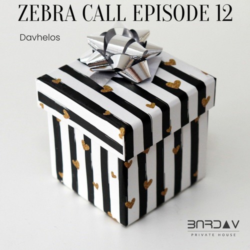 Zebra Call - Episode 012 with Davhelos