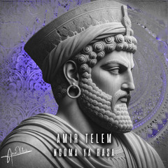 PREMIERE: Amir Telem – Ngoma Ya Rasa (Original Mix) [Ario Vibes]