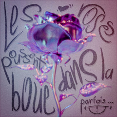 Les roses poussent dans la boue parfois...