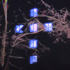 Insomnia.exe slowed