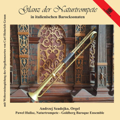 Concerto per archi e organo RV 767: I. Allegro