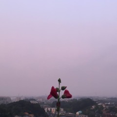 somewhere(I belong).demo