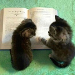 Here (look at her)- Slvmbrs