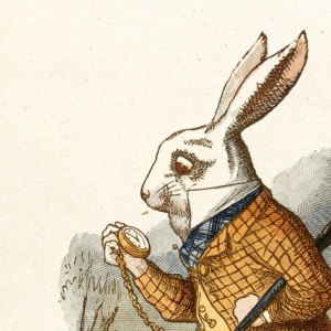 Shambhala 2026 - The Rabbit Hole - wabin
