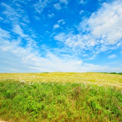 What a beautiful day (Instrumental)