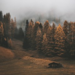 Petre Inspirescu - Galantar (Artera Edit)