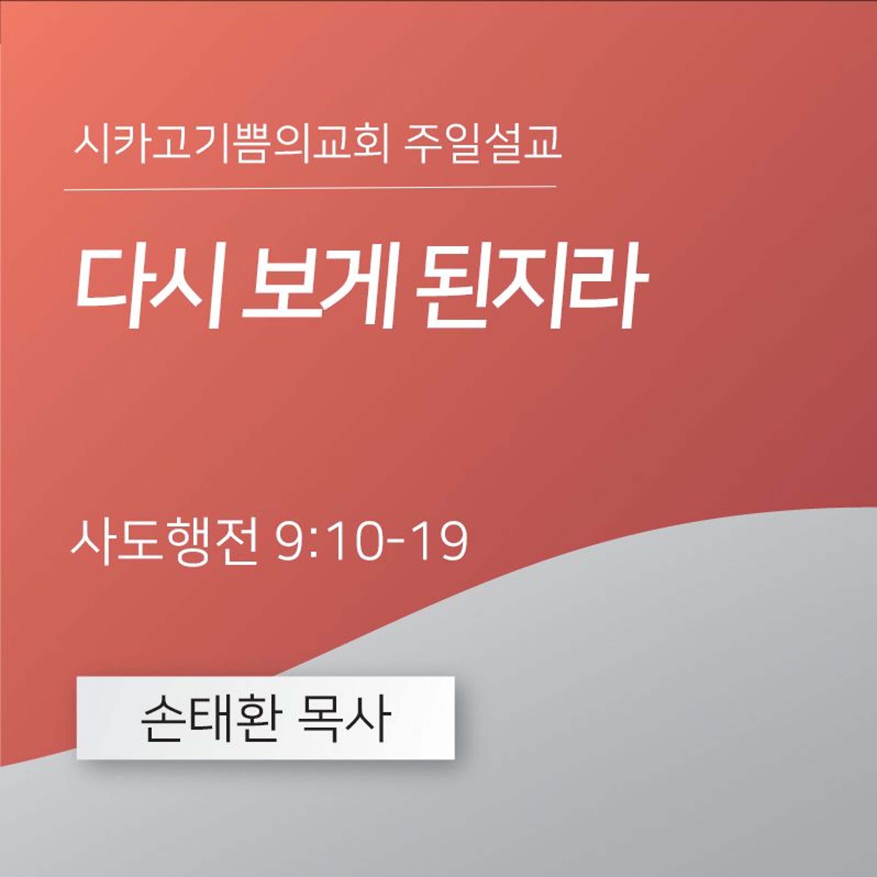 다시 보게 된지라 | 손태환 목사 | 시카고 기쁨의 교회 - 20240526 episode artwork