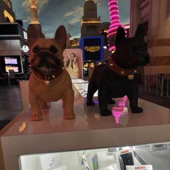 dieg - manure (prod. Xenovi)