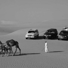 ‎⁨ميحد حمد .. بات دولاب المثل