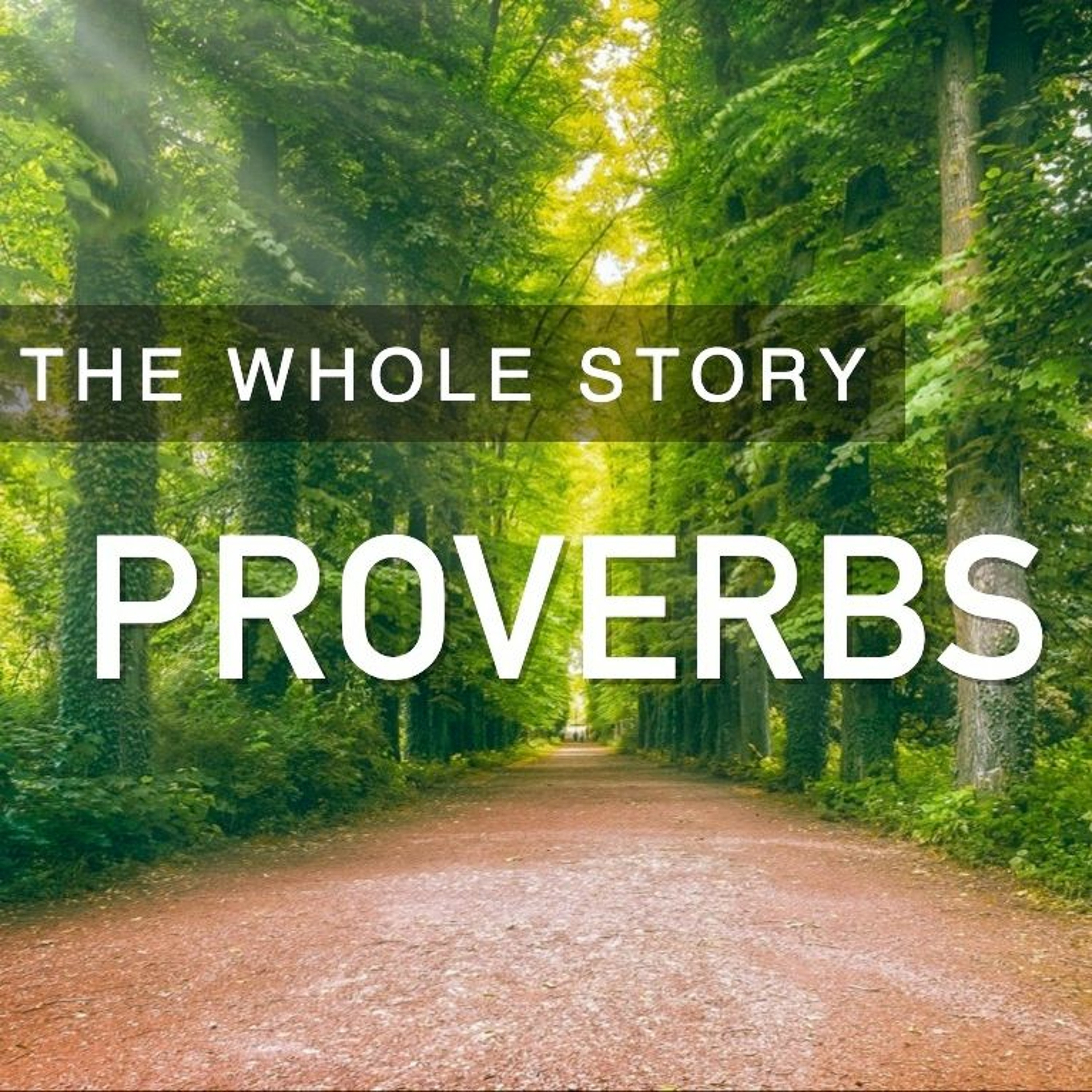 PROVERBS: God-Given Wisdom - Pastor Tim Knowles (11.29.2020) episode artwork