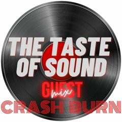 Guest Mixes