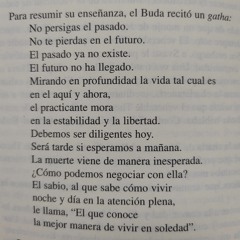 Ella que conoce la mejor manera de vivir en soledad