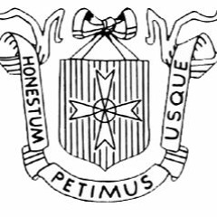 A.S.C./A.V.S.V.  - Avondlid