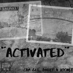 ACTIVATED- CAM GEE, BULLET & LOONEY LOC