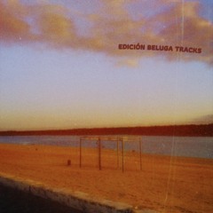 PREMIERE | Vilchezz - Rigodoon [PHTM015]