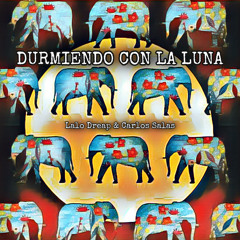 Durmiendo con la luna