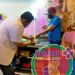 0817-273-670 Dokter Hewan Bintaro Jakarta, Rambad Vet Clinic