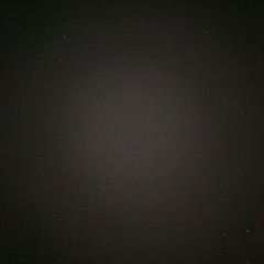 I wont leave, trust me