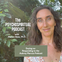 Saying no: Responding to the Aubrey Marcus Podcast
