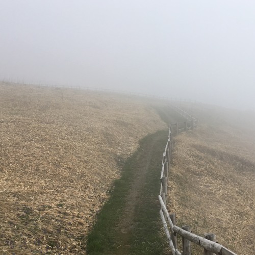 Time Paradox(DEMO)