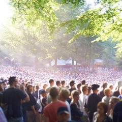 Ark F Noah - Everybody Free