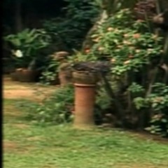 Keep It Up (PROD. by .ql)