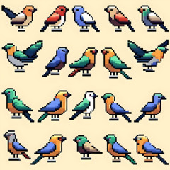 Birds