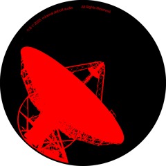 B1_DavidMeiser-Multiverse (Snippet)