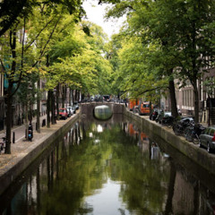 Following Amsterdam Green