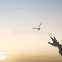 Positivity (Covered)