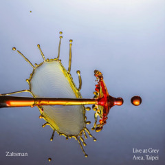 Zaltsman Live at Grey Area Taipei