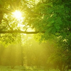 Putorana Plateau- Sunny Day (Original mix)(Cut)