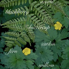 Remembering: Lost Words