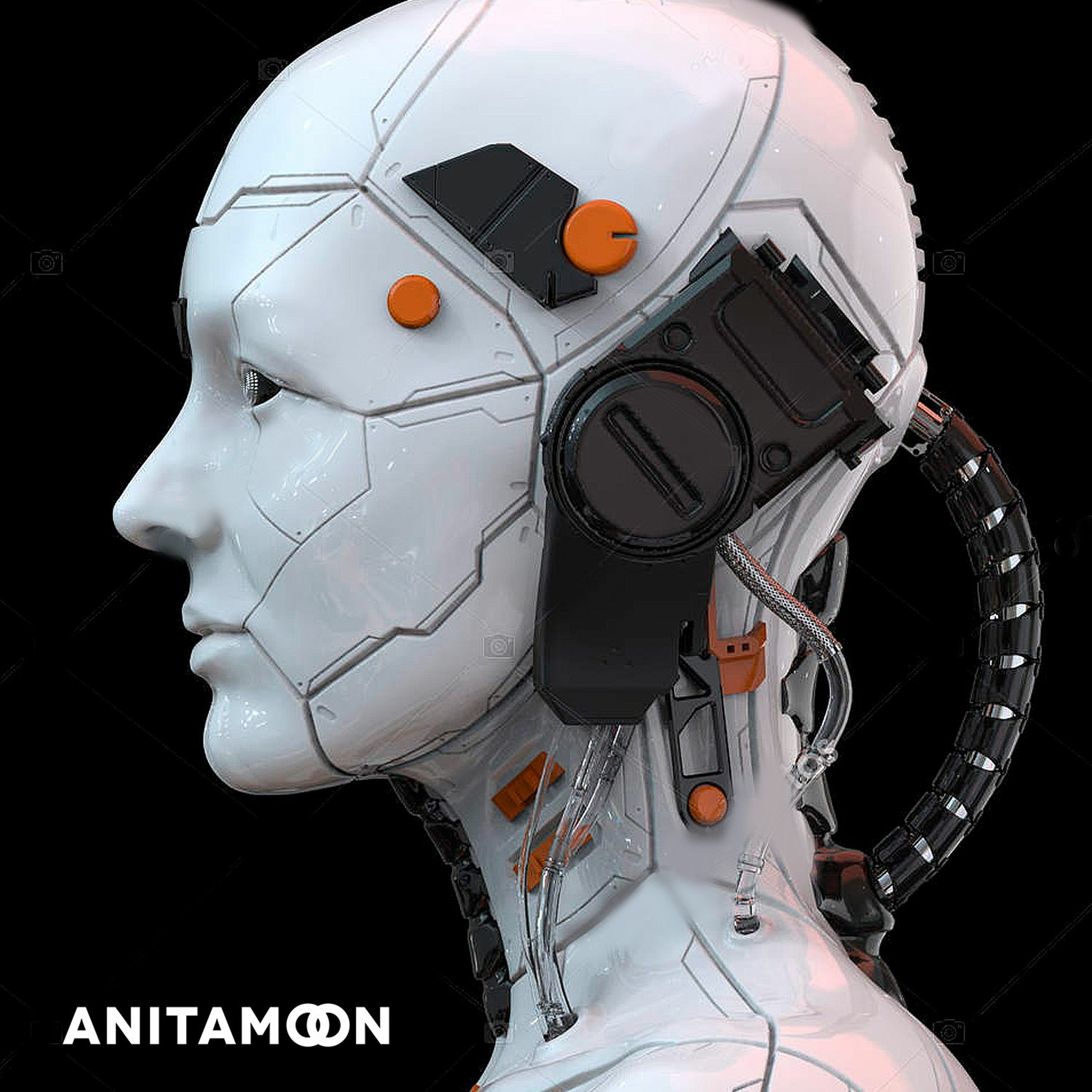 AnitamoonChalu